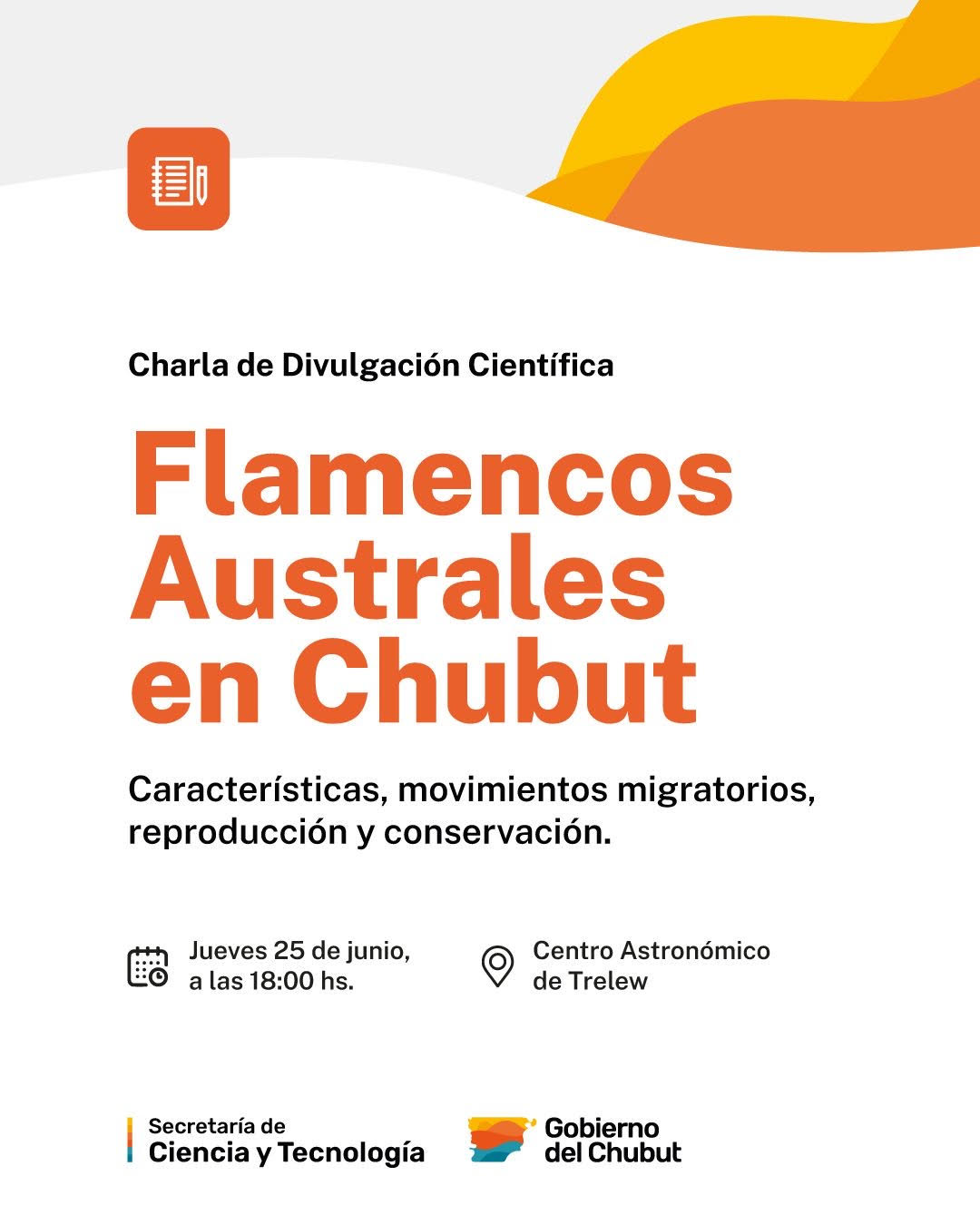 Los flamencos australes serán protagonistas de una charla de divulgación científica en Trelew