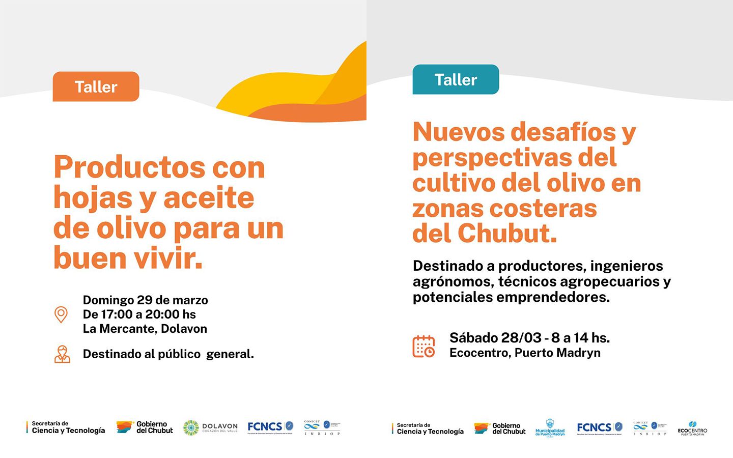 Provincia realiza una serie de talleres sobre el cultivo del olivo y sus beneficios para la salud