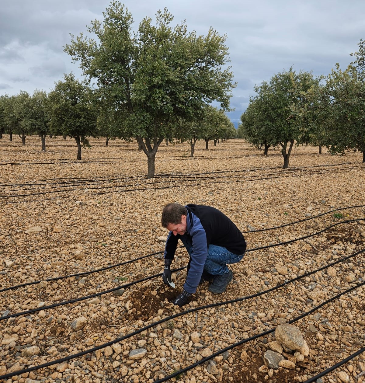 Profesionales de CIEFAP participaron de una estancia formativa en España en el marco de un proyecto internacional sobre truficultura