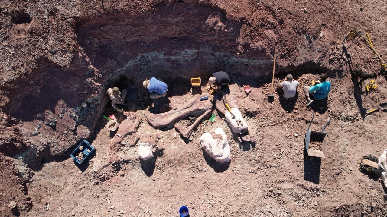 Una nueva campaña paleontológica fortalece el conocimiento científico y el patrimonio del Chubut