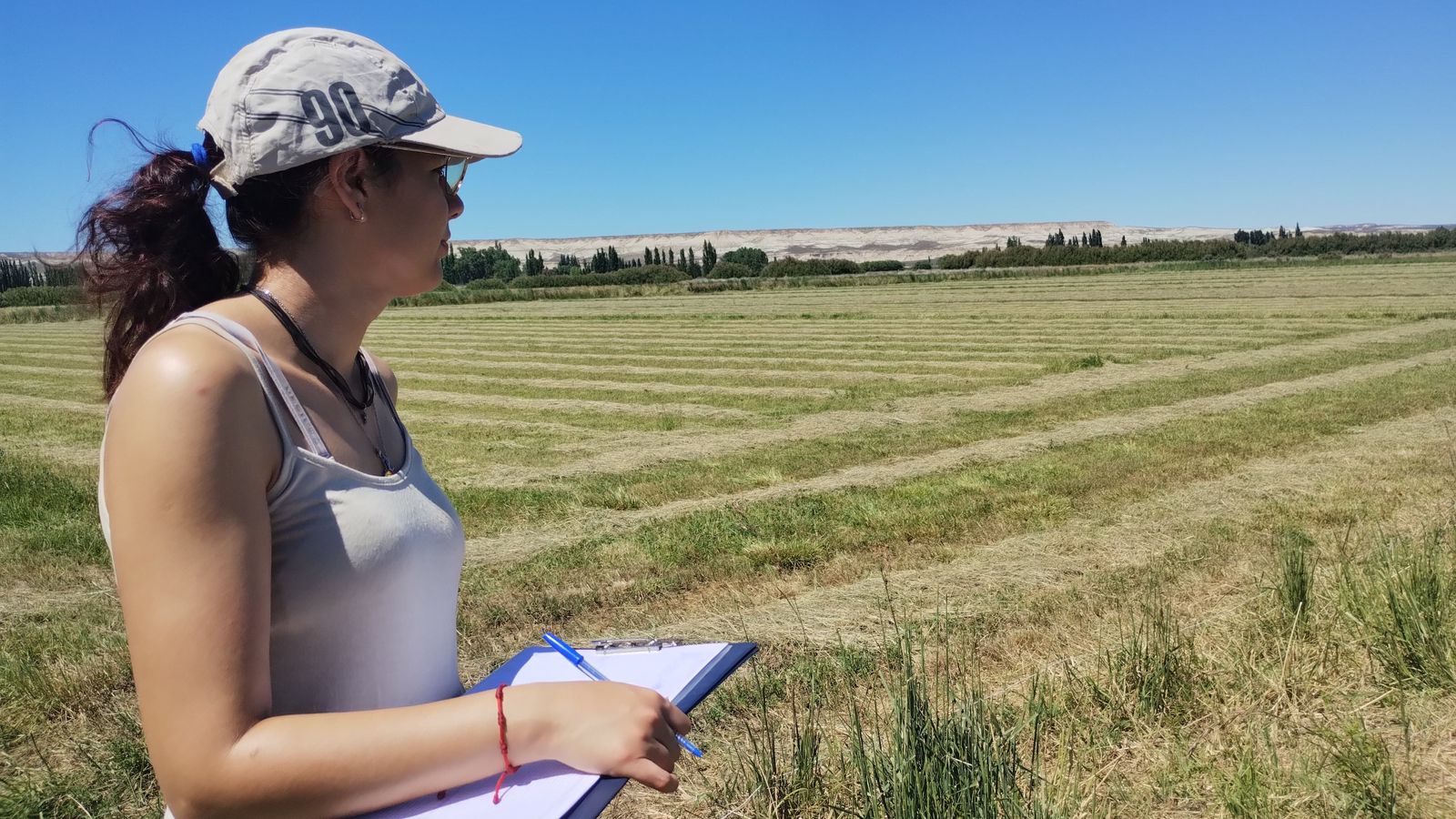 Chubut fortalece su sistema científico con el inicio de becas doctorales cofinanciadas junto al CONICET