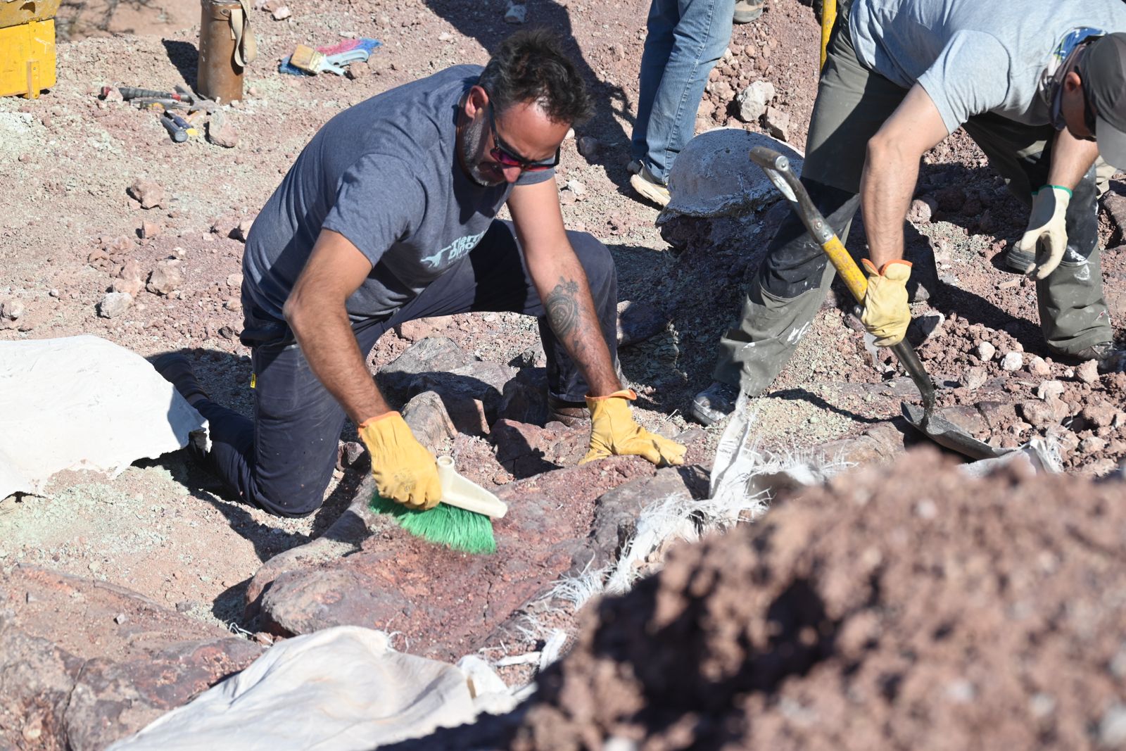 Programa de Becas Postdoctorales Cofinanciadas entre CONICET y la Provincia del Chubut