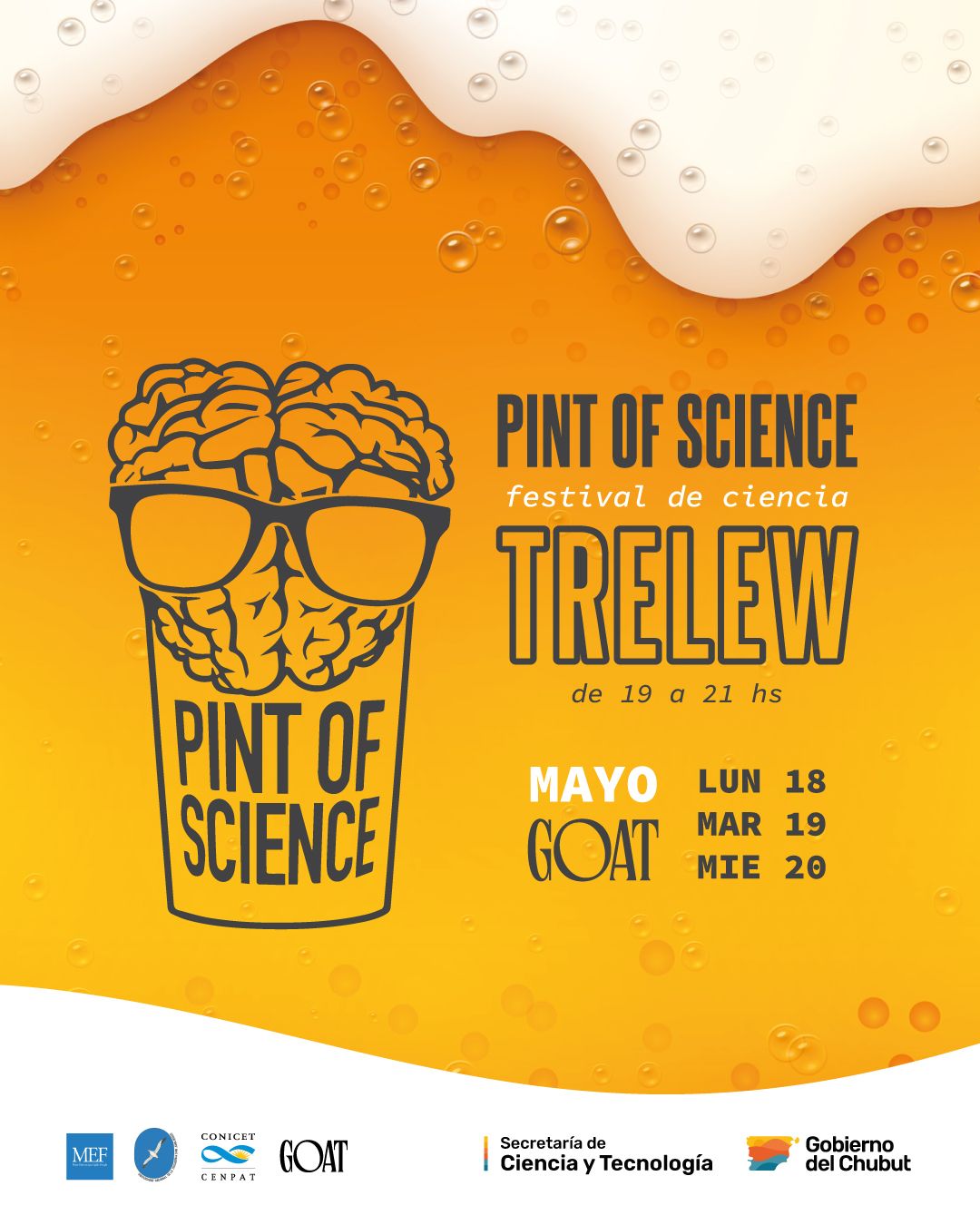 La ciencia se vive en los bares: vuelve Pint of Science a Trelew y llega por primera vez a Puerto Madryn