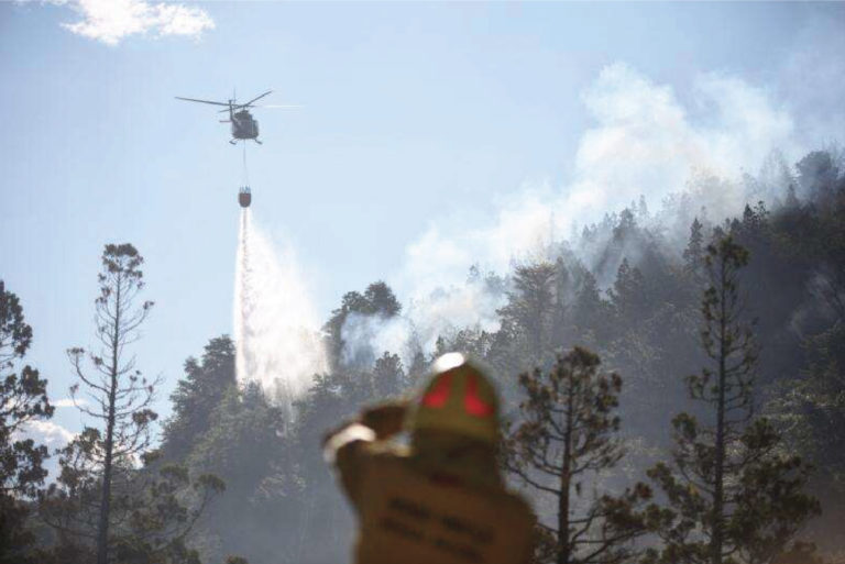 Guillermo Defossé es consultado por Le Monde sobre el incendio del Parque Nacional Los Alerces