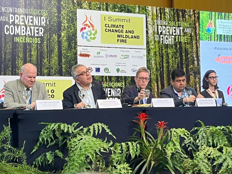 Chubut participa en Brasil de Cumbre sobre Cambio Climático e Incendios Forestales