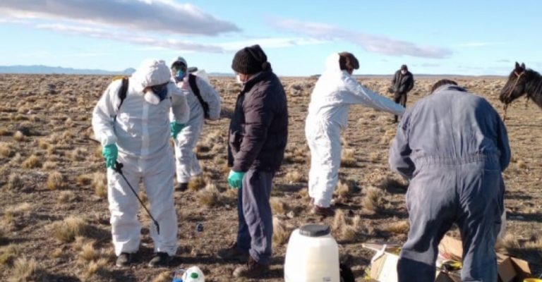 Seminario-Conversatorio sobre Cambio Climático y Desarrollo Integral en Chubut