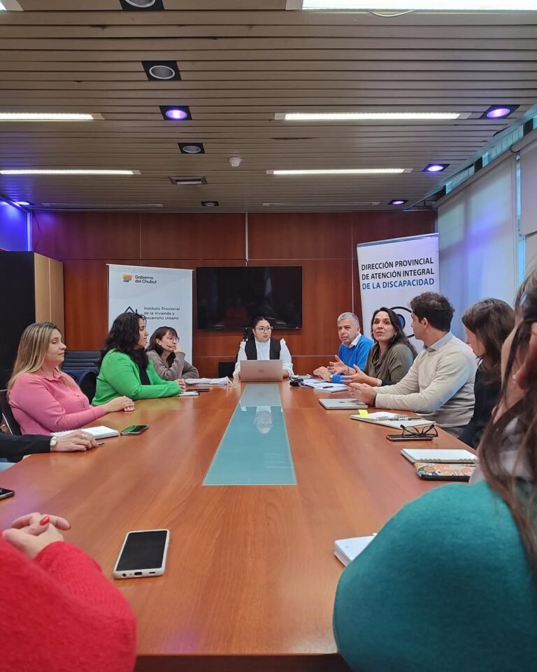 Reunión de la Mesa de Organismos Gubernamentales para la Atención de Personas con Discapacidad, impulsando la innovación y el desarrollo inclusivo