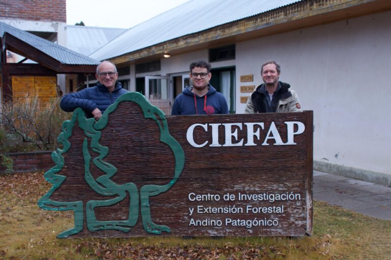 Fortalecer la truficultura en Chubut: investigadores se capacitan en España