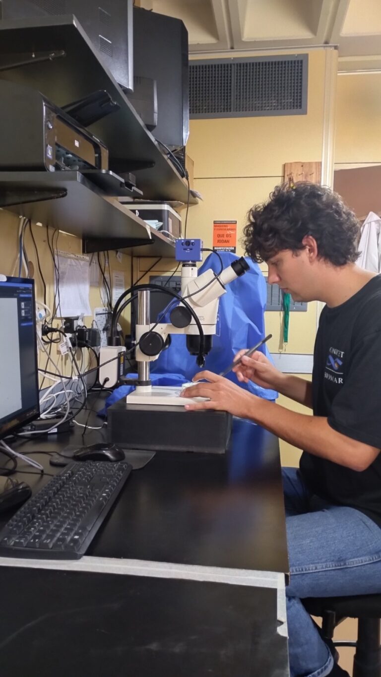 Investigación en Chubut: identificación de cultivares de cannabis a través de la forma de la semilla