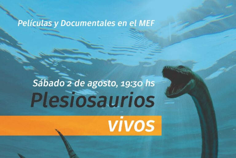 Provincia apoya la realización de una nueva edición de cine y documentales en el Museo Egidio Feruglio de Trelew