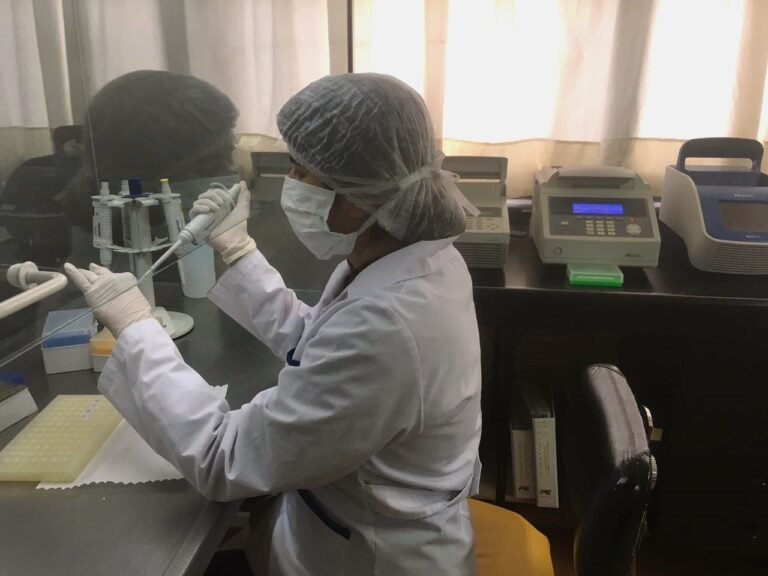 Chubut impulsa el talento científico con nuevas becas postdoctorales cofinanciadas junto al CONICET
