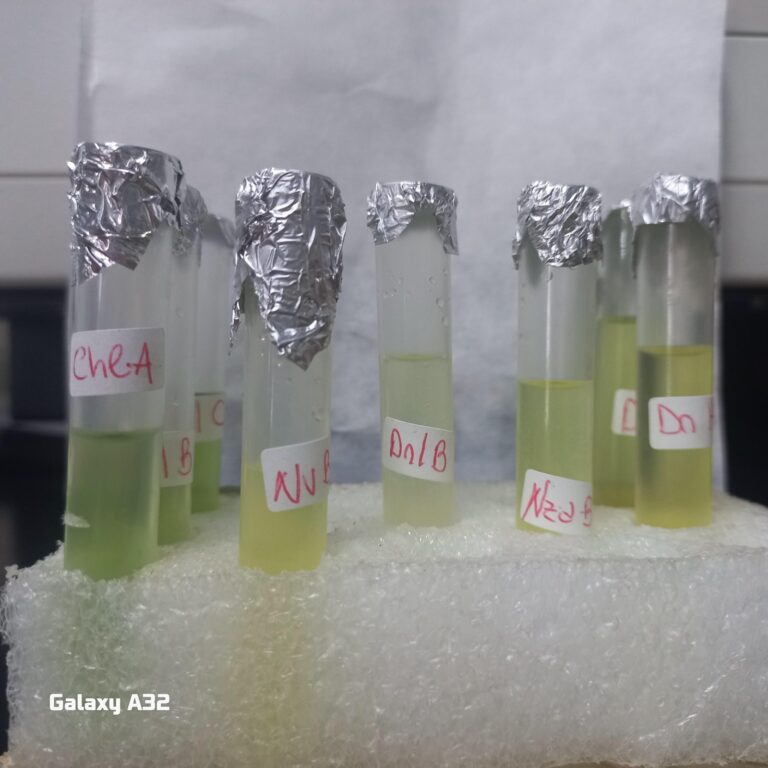 Becaria avanza en investigación sobre microalgas marinas y pigmentos con valor nutracéutico
