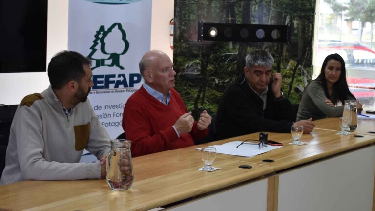 FAO y CIEFAP fortalecen el trabajo conjunto para la preservación del bosque nativo en Chubut