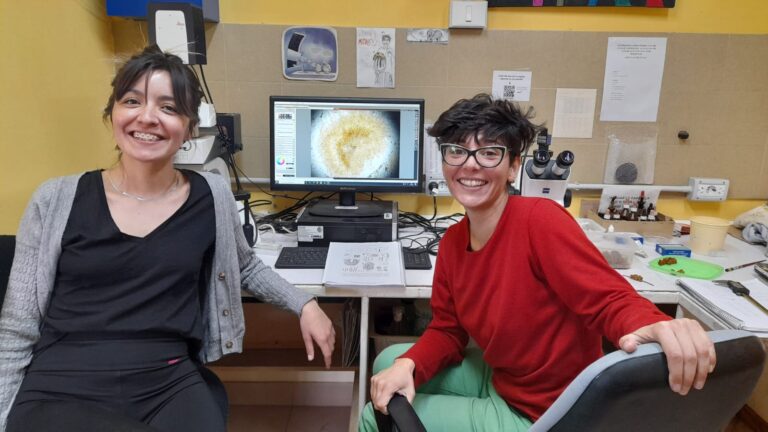 Una becaria del Chubut describió dos nuevas especies de hongos endémicos de la Patagonia