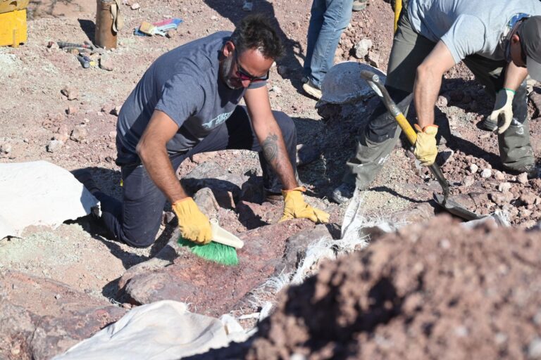 PROGRAMA DE BECAS POSTDOCTORALES COFINANCIADAS ENTRE CONICET Y LA PROVINCIA DEL CHUBUT